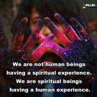 DMT The Spirit Molecule