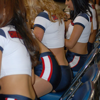 Houston Texan Cheerleaders