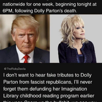 Fake orange cunt