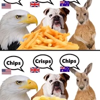Chips is the correct answer 