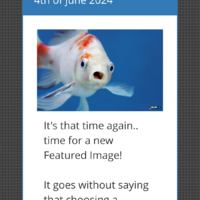 home page for pulse