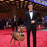 pulse on the red carpet