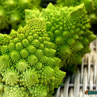 Broccoflower fractals