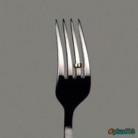 my funny picture collection fork