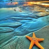 Starfish and sunrise