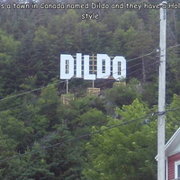 Dildo!