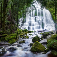 Nelson Falls, Tasmania