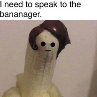 Karen's dildo