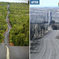Before/after bushfires in Australia