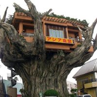 JAPENESE TREE HOUSE RESTAURANT