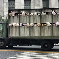 Sirens of the Lambs