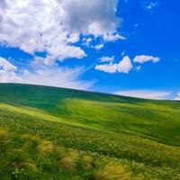 Windows XP's valley today
