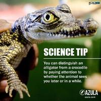 Science Tip