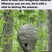 They're always watching