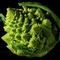 fractal broccoli