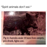 Spirit animals 