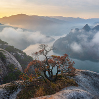The last autumn of the tree by jaeyoun Ryu
