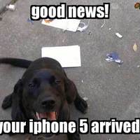 Enjoy your new iPhone 5
