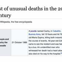 Poodle death
