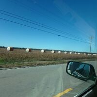 Cotton bales in the southern U.S.