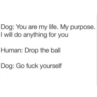 if pulse was a dog