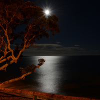 Super-moon over Little Manly Bay