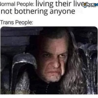 look at me look at me