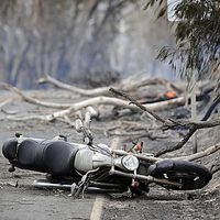Bike rider killed after colliding with fallen tree - Victoria Australia 2009