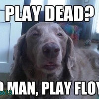 Play Floyd