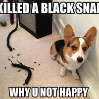 Fuck black snakes
