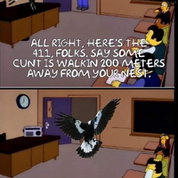 Nail those cunts