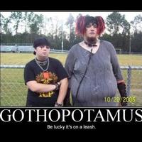 OMG its a Gothapotamus