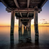Chasing Piers by Andrew Furlan