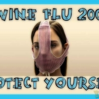 swine flu mask