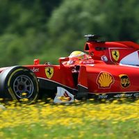 Ferrari frolicking in the fields