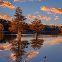 Autumn Reflections by Kyle Foreman