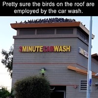 Business model