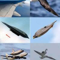 aircraft inspired by nature