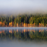Morning by the Lake by Brighilă Alex
