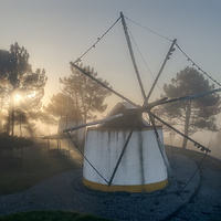 Morning Color by Tiago Marques