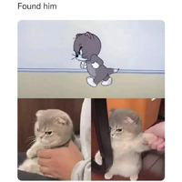 Cartoons in real life