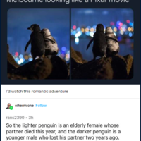 Positive penguins