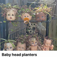 Baby heads