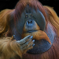 Glamour Portrait by Christina Brown