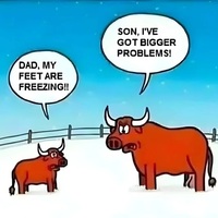 freezy
