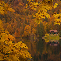 "The Midas Mirror" by Hugo Valle
