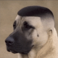 Skin fade!