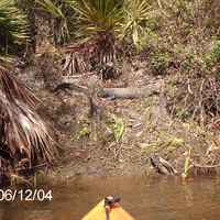 Fort Myers Area Kayaking Group friend