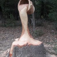 Carved from a stump