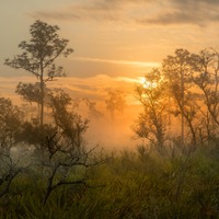 Sunrise on the mid Florida ridge